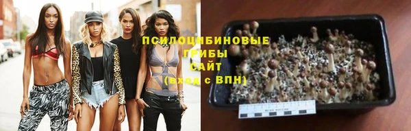 спиды Билибино