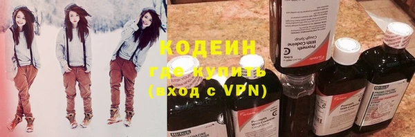 прущие грибы Майский